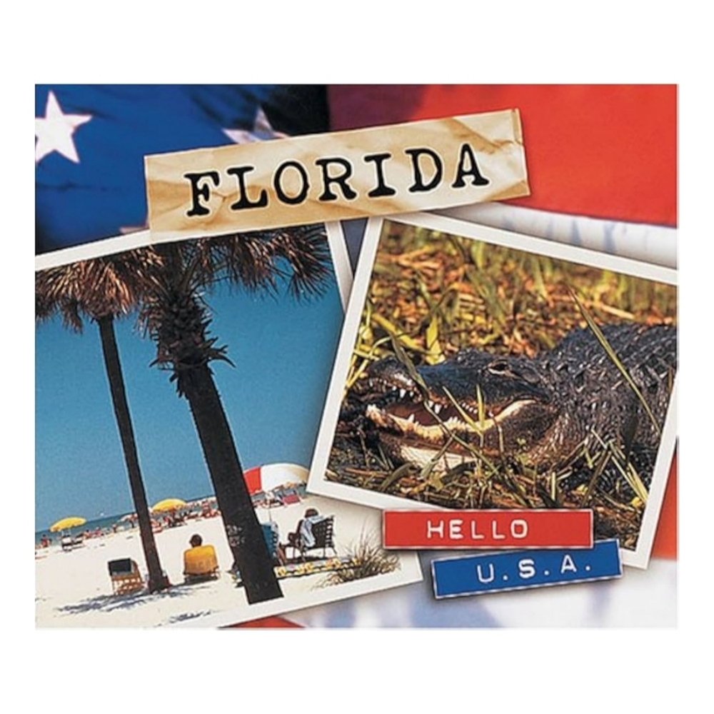 4/$15 🌻 Florida Travel Book